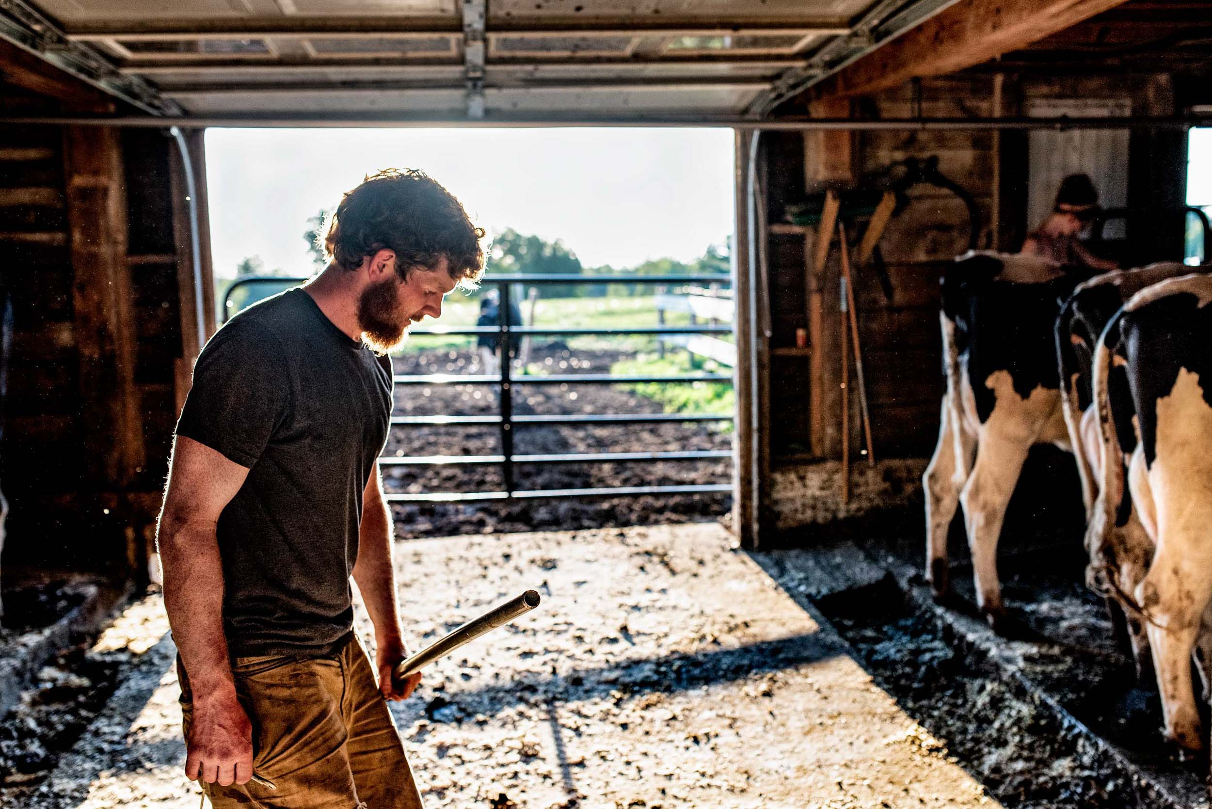 Farming-3